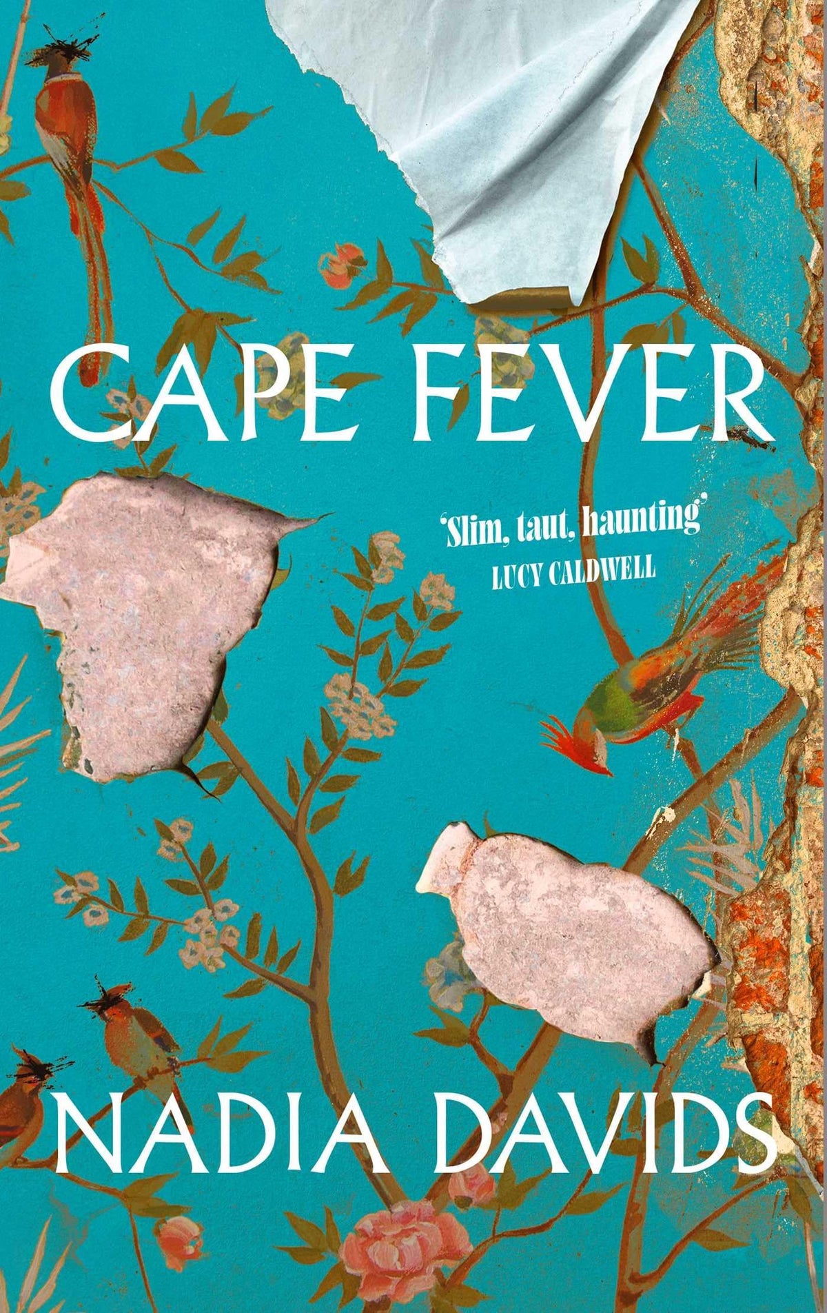 Cape Fever by Nadia Davids - 9781398554238