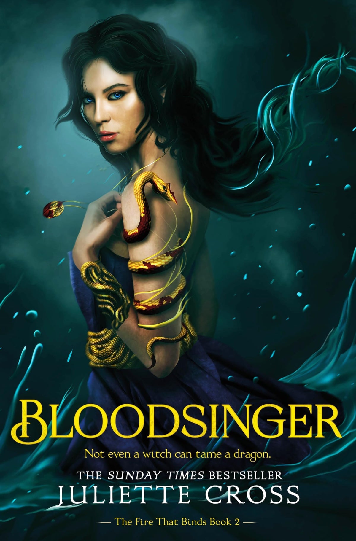 Bloodsinger by Juliette Cross -978-1035052509